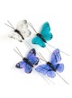 farfalle set decorativo