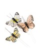 farfalle set decorativo