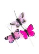 farfalle set decorativo