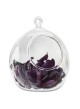 Decorazione globo di vetro