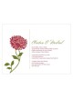 Zinnia Bloom Invito