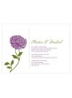 Zinnia Bloom Invito