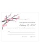 Fiore di ciliegio RSVP