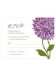 Zinnia Bloom RSVP