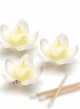 mini candele orchidea bianca