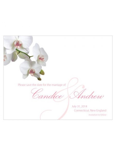 Orchidea classica Salva la scheda data