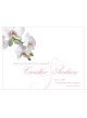 Orchidea classica Salva la scheda data