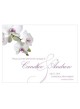Orchidea classica Salva la scheda data
