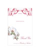 Orchidea classica grazie card