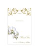 Orchidea classica grazie card
