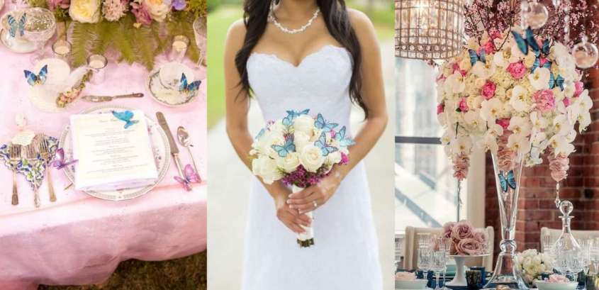matrimonio tema farfalla
